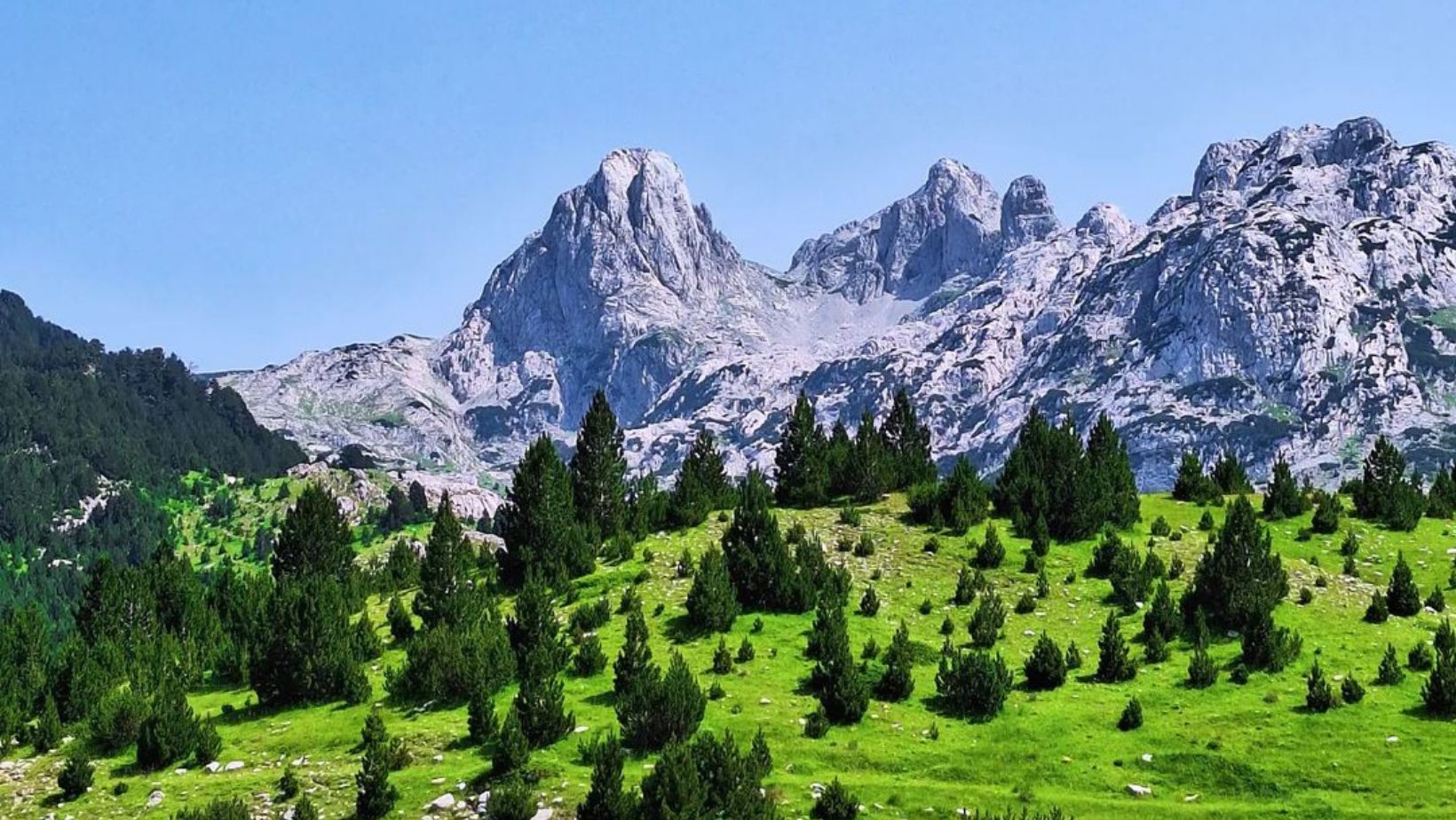 PRENJ – “To the Green Head”