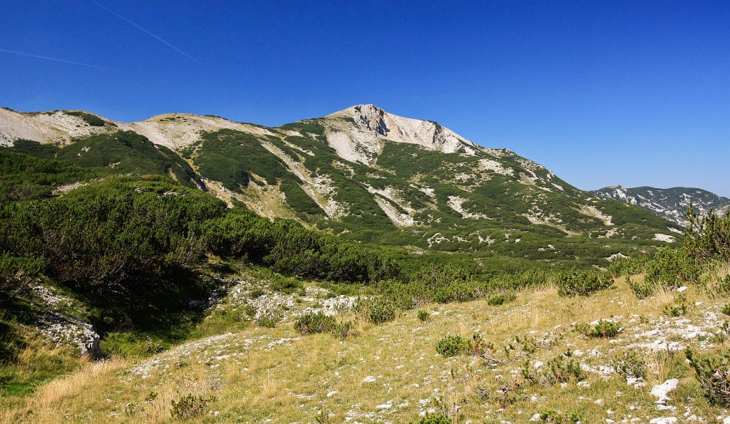ČVRSNICA – “Veliki Vilinac”