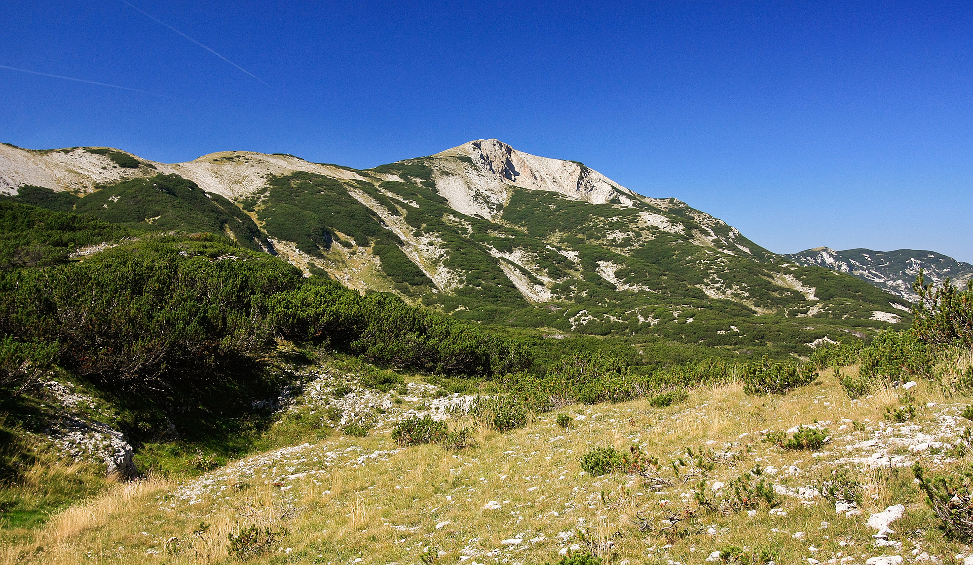 ČVRSNICA – “Veliki Vilinac”